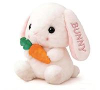 JONZIN Personalized Easter Bunny - Custom Bunny Stuffed Animal with Name Cute Rabbit with Long Ears,Personalized Easter Gifts for Men Women