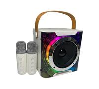 Jooehyer High Power Karaoke Bluetooth Speaker Stereo Surround Wireless Subwoofer Music Rhythm Light with Dual Microphone C