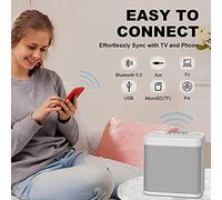 Jooehyer Karaoke Machine, Portable Bluetooth PA System with 2 Wireless Microphones, Family Gathering, Meeting, Picnic