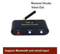 Jooehyer Stereo Song Music Accompaniment Eliminates Original Singing Voice Reduce the Human Voice Eliminater Bluetooth Receiver