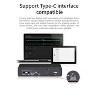 Jooehyer -UC22 24Bit/192KHz Audio Interface High Resistance Instruments USB Computer Live Recording External Sound Card Black Metal Music Production Mixer 1 PCS