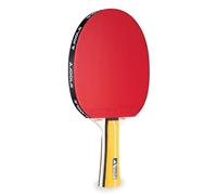 Joola Team Master Table Tennis Bat, Multi, One Size