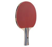 JOOLA Team School Table Tennis Bat - Multi-Colour