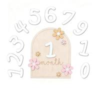 JOOTUEPO 1 Pcs Baby Monthly Milestone Marker Discs with Glue Points Double Sided Wooden Milestone Babys Cards Flower Styled Photoshoot Props for Infants 0-12 Months Baby Shower Growth Recording
