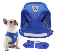 JOOTUEPO Dog Harness and Leash Set, Step-in Small Dog Harness, Soft Mesh No-Chock Reflective Breathable Easy Walk Lightweight Vest Harnesses with Safety Buckle for Small Dogs, Cats, XS