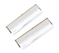 Jopwkuin High Speed Colorful RGB DDR5 Memory Modules Set CL38-48-48-100 for Gamers and Enthusiasts 2 X 16GB Kit