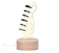 JOPWUE Guitar Pick Holder, Acrylic 3D Led Guitar Pick Lamp,Light Up Guitar Pick Holder,for Picks Storage and Display,A Birthday Gift for Music Lovers and Guitarists (B)