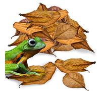 JOR 120 Pack Dwarf Frog Leaf Litter, Mini Indian Almond Leaves as Microfauna Habitat Tank Food Source, Substrate in Bioactive Terrarium & Vivarium Enclosure, Helps Tank Mimics Native Habitat
