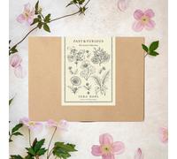 Jora Dahl "Fast & Furious" Cut Flower Mix - 1 Pkg