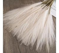 JORCEDI 20 PCS Pampas Grass Artificial,Pampas Grass Artificial Fluffy,Bohemian Decor, Fake Grass for Home, Wedding,Table Vase Arrangements,Living Room, Bedroom Aesthetic (Beige)