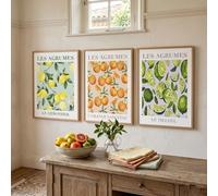JORCEDI Citrus Botanical Wall Art Set of 3 Canvas Prints Unframed Lemon Orange Lime Fruit Artwork French Country Kitchen Wall Decor for Dining Room Living Room (30 x 50 cm)