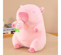 JORCEDI Cute Capybara Plush Pillow, Soft Stuffed Capybara Toy, Pink Cartoon Hugging Pillow with Fruit for Bedroom Sofa Office, for Kids Adults (pink,40cm/15.7in)
