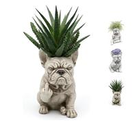 JORCEDI Funny French Bulldog Planter Pot, Creative Attitude Garden Bulldog Planter Pot, Unique Outdoor Plant Container, Handcrafted Resin Succulent Vase with Drainage Hole, Office Desk Gift (C)
