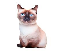JORCEDI Pillow 3D Simulation Cat Shaped Pillo Cats Shaped Plush Throw Pillow, 3D Simulation Cats Plush Stuffed Animal Cushion Toy Car Garden Sofa Funny Plush Chair Cushion (48cm,Siamese cat)