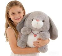 JORCEDI Plush Rabbit, Pink Rabbit Plush Toy for Kids, Soft and Cute Rabbit Plush Toy with Heart Pendant, Gift for Kids & Adults (Gray,40cm)