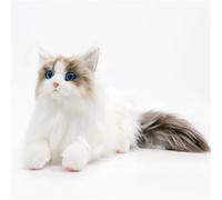 JORCEDI Ragdoll Plush Cat, Realistic Plush Toy, Cute Cat Decoration, Lying Pose, Super Fluffy, Soft Stuffed Animal, Gifts for Boys and Girls (25 * 18cm,Standard)