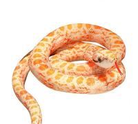 JORCEDI Realistic Snake Toys Plush, Snake Stuffed Animal, Giant Python Cobra Plush Animal Plush Doll, 3D Snake Teddy Pillow Doll Toys, Anaconda Fake Snakes for Ricky Creepy Prank Props (Orange,200cm)