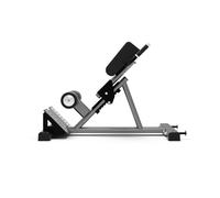 Jordan 45 Degree Hyper Extension, Grey