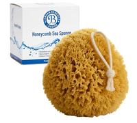 Jordan Benedict Natural Sea Sponge, Unbleached Honeycomb Bath Sponge, Exfoliating Bath Sponges for Adults, Organic Shower Sponges for Women and Men (XXL (Pack of 1))