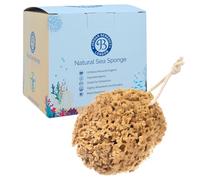 Jordan Benedict Natural Sea Sponge, Unbleached Honeycomb Bath Sponges for Adults, Gently Exfoliating Shower Sponge, Nurturing Organic Bathing Sponge (L Pack of 1)