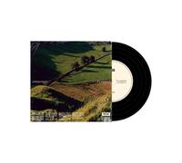 JORDAN RAKEI - FLOWERS [Signed 7" Vinyl]