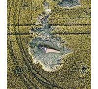 Jorg Halubek, il Gusto Barocco - Bach: Partita & Concertos