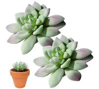 Jorzer 2Pcs Artificial Succulents Unpotted 4 Inch Decorative Plastic Faux Succulents Unpotted for Indoor Outdoor