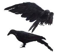 Jorzer 2Pcs Crow, 13x5.5 Realistic Raven Decor With Removable Wing, Artificial Dead Crow Decoy For Scaring Crows For Halloween Decorations Raven Decor