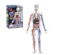 Jorzer Human Body Structure Model 3D Human Body Model for Kids with Removable Bones Organs and Blood Vessels for Anatomy Game Toys.