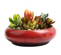 Jorzer Lotus Bowl Lotus Bowl Planter, 7.4x7.3x2.1 Inch Ceramic Lotus Bowl, Water Lily Narcissus Bonsai Pot Hydroponic Succulent Pot for Indoor Outdoor Planting Red
