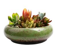 Jorzer Lotus Bowl Lotus Bowl Planter, 7.4x7.3x2.1 Inch Ceramic Lotus Bowl, Water Lily Narcissus Bonsai Pot Hydroponic Succulent Pot for Indoor Outdoor Planting Green