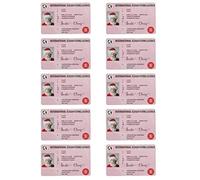 Jorzer Santa Claus Flying License Christmas Santa Driving License Lost Flying Driving Licence for Christmas Ornament 10PCS Style6