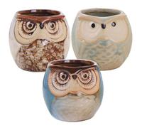 Jorzer Succulent Planter 3Pcs Owl Planter, Creative Animal Ceramic Pot with Drainage Hole, Table Ornaments Crafts Flower Pot for Balcony Garden Living Room