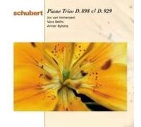 Jos van Immerseel - Schubert: Piano Trios D.898 & D.929