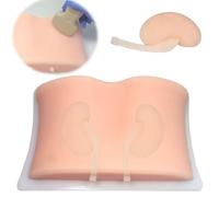 JOSBY Human Kidney Puncture Model, B Ultrasound Lower Kidney Training Model, Ultrasound Guided Renal Biopsy Model, Practice Training Medical Model, Medical Gift, for Nurse, Medical Students, Doctors