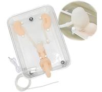 JOSBY Ureteroscopy Simulation Training Model, Manikin Anatomy Model, Silicone Kidney Model, Ureteroscopic Training Simulator, Urinary Endoscopy, for Nurse, Medical Students Training Practice Use