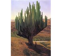 Jose Maria Velasco A4 Photo card n 1887