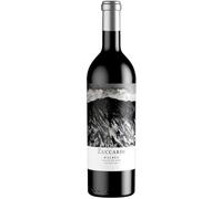 Jose Zuccardi Mendoza Malbec 2020 75cl