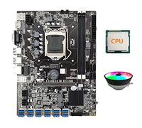 Josenidny 15 Pcs Dried Preserved Eucalyptus Stems & Lavender Flowers Bundles for Shower, 17In Eucalyptus Leaves Stems Shower