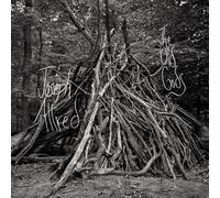 Joseph Allred - The Old Gods [Vinyl LP] [VINYL]