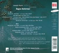 JOSEPH HAYDN REVISITED NEW CD