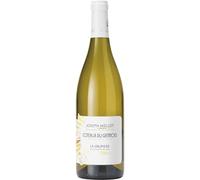 Joseph Mellot, Coteaux du Giennois La Gaupière, WHITE WINE (case of 6x75cl) France/Loire