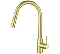 Joseph Miles Liberty Brushed Brass Pull Out Kitchen Mixer Tap With Swivel Spout - Stainless Steel