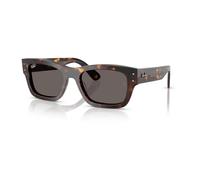 Joseph Sunglasses - male - Ray-Ban - Sunglasses - Black - 55 MM - Accessories 55 MM