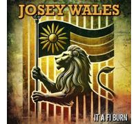 JOSEY WALES - IT A FI BURN - Vinyl Record lp - 49 - D4z