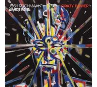 JOSH REICHMANN ORA RAZY POWER LP - Vinyl Record - P3z