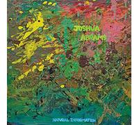 Joshua Abrams - Natural Information [VINYL]