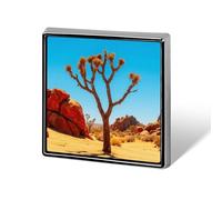 Joshua Tree National Park Backpack Pin Cute Brooch Decoration Brooches for Women Mens Lapel Pins for Suits Fashion Button Badges for Hat Backpacks Purses Jackets Shirt Suit Lapels-Square