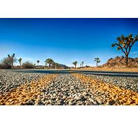 Joshua Tree National Park Jigsaw Puzzles, 1000 Pieces, Natural Beauty, Horizon 38x52CM
