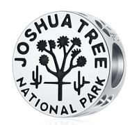 Joshua Tree National Park Round Charm, Fits Pandora Travel Bracelet, 925 Sterling Silver Vintage American Souvenir California Beads, Gifts for Friends/Birthday